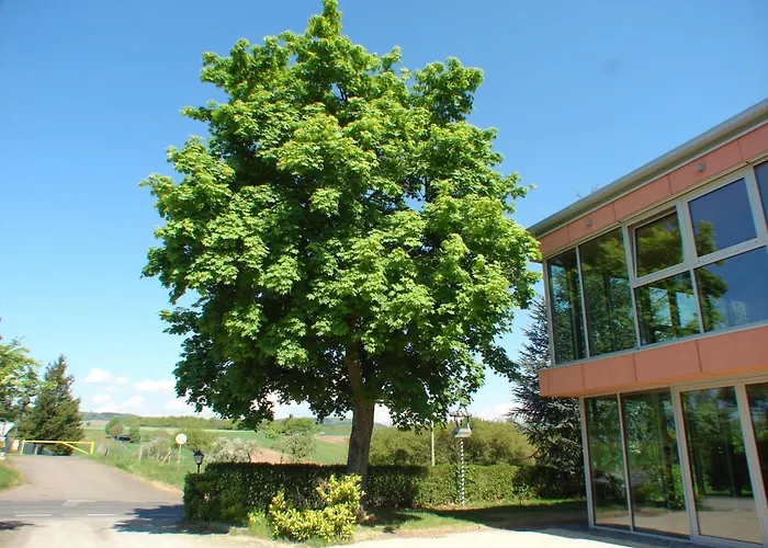 Rotenberg Pt וויטליך